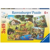 Puzzle padure, zoo si animale domestice, 3x49 piese Ravensburger