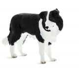 Figurina Catel Collie Mojo