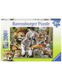 Puzzle Tigri, 200 Piese Ravensburger