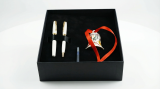 Set Parker Sonnet Stilou cu Penita din Aur 18K și Pix, Alb PG, Caseta Cadou Premium