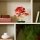 Bonsai de artar japonez rosu 10348 LEGO Colectia Botanica