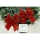 Fundite pentru brad, culoare rosu, model linii aurii 11 cm, 3 buc/set 