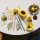 Buchet de floarea soarelui 11502 LEGO Colectia Botanica