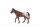 Figurina Cal Appaloosa Mojo