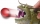 Figurina Dragon in actiune Meatlug Spin Master