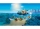 Barca pentru scufundari 60377 LEGO City