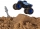 Masina de jucarie macheta Thunder Blue set camioneta cu nisip kinetic Monster Jam Spin Master