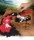 SET KINETIC SAND DINO SANTIERUL ARHEOLOGIC SPIN MASTER