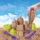 SET KINETIC SAND O ZI LA PLAJA SPIN MASTER