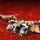 Dragonul de lupta al lui Wu 71718 LEGO NINJAGO