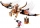 Dragonul de lupta al lui Wu 71718 LEGO NINJAGO