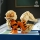 Arcanine 72160 LEGO Pokemon