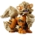 Arcanine 72160 LEGO Pokemon