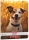 Caiet A5, 48 file, dictando, colturi rotunjite, motiv Cool Dog, diverse modele