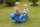 Balansoar Balena Little Tikes