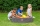 Cutie Pentru Nisip Trunchi Copac Little Tikes