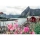 Puzzle Lofoten Norvegia, 1000 piese, Ravensburger 