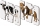 Puzzle Potriveste corpul animalelor, The Learning Journey