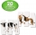 Puzzle Potriveste corpul animalelor, The Learning Journey