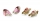 Baby Annabell - Pantofiori 'Diverse Modele' Zapf