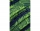 Rucsac Spiner Termic, 3 compartimente, compartiment termic, Isogreen, CoolPack