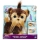 CATELUL SHAGGY SHAWN HASBRO