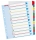Index reinscriptibil, A4, numerotare 1-12, Esselte