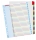 Index reinscriptibil, A4, numerotare 1-31, Esselte