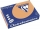 Hartie copiator A4, 160 g/mp, Clairefontaine Trophee Pastel, diverse culori, 250 coli/top