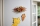 Ornament din flori uscate 10314 LEGO Creator Expert