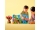 Animale din Asia 10974 LEGO DUPLO
