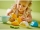 Kit de cultivare al morcovului 10981 LEGO DUPLO