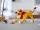 Leu salbatic 31112 LEGO Creator