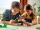 Casuta din savana 31116 LEGO Creator 