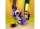 Creaturi de basm 31125 LEGO Creator 