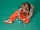 Clubul de fotbal al Miei 41669 LEGO Friends 