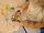 Masina de reparat drumuri 60284 LEGO City 