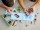 Camioneta de salvare a animalelor 60301 LEGO City 