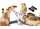 Urmarirea lui Atrociraptor 76945 LEGO Jurassic World 