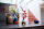Flori de prun 10369 LEGO Icons Creator Expert