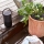 Boxa portabila BOSE home bluetooth, triple black