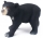 Figurine animale salbatice, in cutie, diverse modele 