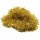 Beteala groasa color, 2.4 m, aurie 