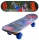 Placa skateboard din lemn, 40 cm, diverse modele 