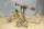 Puzzle 3D, lemn, mecanic Aviator, 726 piese, Ugears