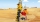 Triciclul lui Emmet 70823 LEGO Movie