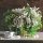 Calendar cu imagini Bouquets, 31.5 x 48 cm, 12 file, 2027