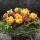 Calendar cu imagini Bouquets, 31.5 x 48 cm, 12 file, 2027