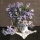 Calendar cu imagini Bouquets, 31.5 x 48 cm, 12 file, 2027