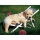 Puzzle golden retriever, 500 piese Ravensburger